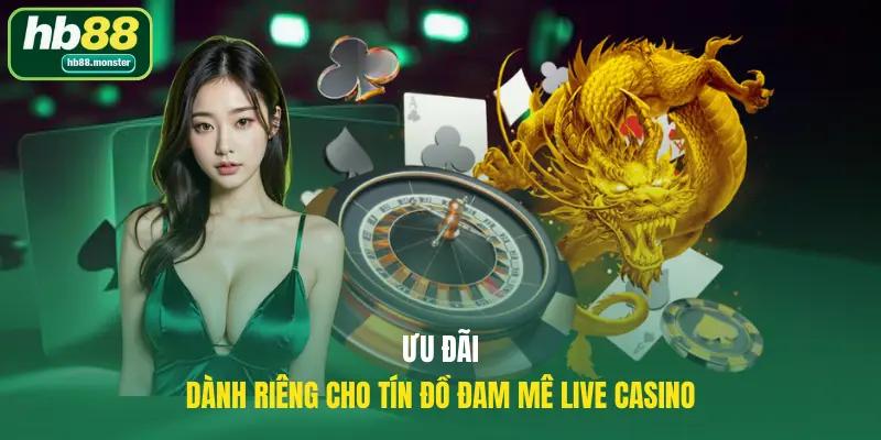 Ưu đãi dành riêng cho tín đồ đam mê live casino